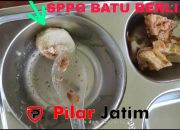 Makanan Bergizi Berubah Jadi Ancaman: SPPG Yayasan Batu Berlian Dikritik Usai Menu Siswa SD Berulat