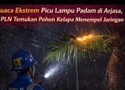 Lampu Padam di Kecamatan Arjasa Akibat Cuaca Ekstrem, PLN Lakukan Pengamanan Jaringan