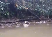 Penemuan Mayat Perempuan Gegerkan Sukopuro, Aparat Kepolisian Pastikan Penyelidikan Transparan