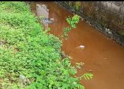 Skandal Limbah di Pace Nganjuk, LSM ICON Bongkar Dugaan Pelanggaran PT SPS