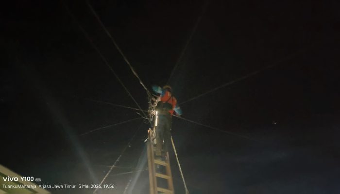 Respons Cepat PLN Arjasa Tuai Apresiasi, Gangguan Tegangan di Kangean Ditangani Sigap