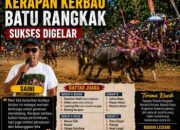 Final Kerapan Kerbau Batu Rangkak Rabe Berlangsung Meriah, Ratusan Penonton Padati Arena
