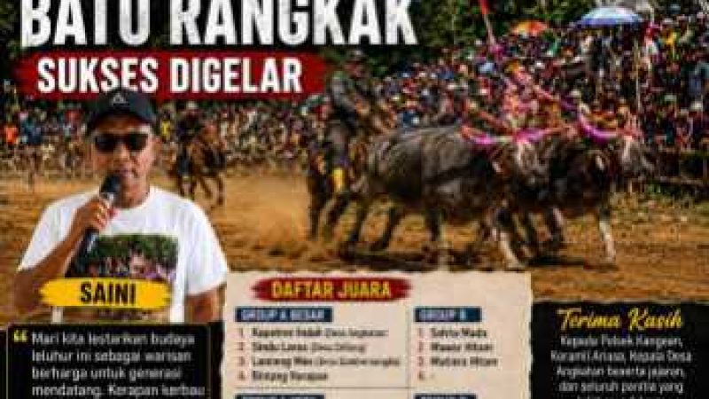 Final Kerapan Kerbau Batu Rangkak Rabe Berlangsung Meriah, Ratusan Penonton Padati Arena