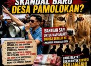 Bantuan Sapi Desa Pamolokan Jadi Sorotan, Eks Pj Desa, Sekdes dan Ketua BPD Disebut Ikut Menerima, LSM Bidik Desak Audit Total