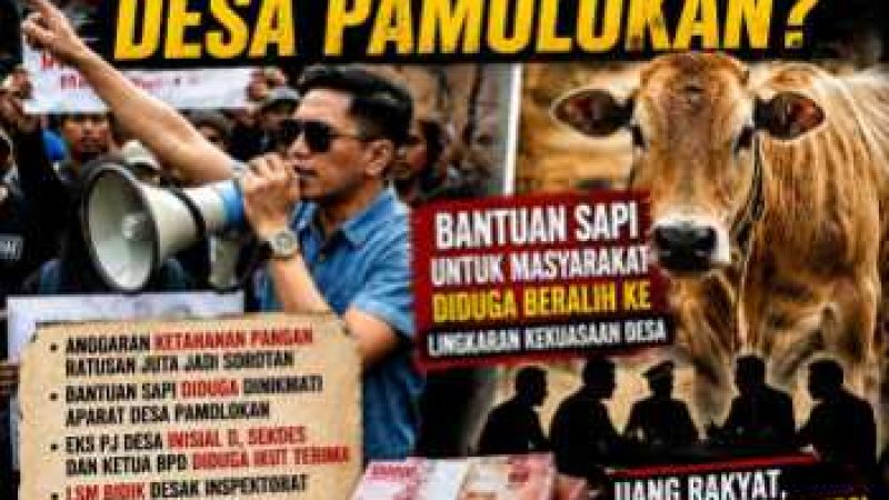 Bantuan Sapi Desa Pamolokan Jadi Sorotan, Eks Pj Desa, Sekdes dan Ketua BPD Disebut Ikut Menerima, LSM Bidik Desak Audit Total