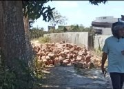 Proyek Sungai Anjuk Terus Tuai Kontroversi, Setelah Papan Proyek Kini Material Batu Diduga Tutup Jalan Warga