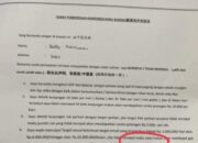 Pekerja Geram! Adanya “LONDO IRENG” Oknum Pengacara Semena mena Diduga Back Up PT MJJ, Abaikan Hak Upah Pekerja