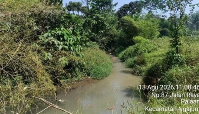 Sungai Palaan Terancam: Bukti Pencemaran Ditemukan, Apatisme Aparat, Korporasi Dipertanyakan