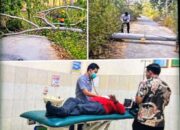 Nyaris Jadi Korban Pohon Tumbang, Camat Arjasa Tetap Prioritaskan Aduan Warga