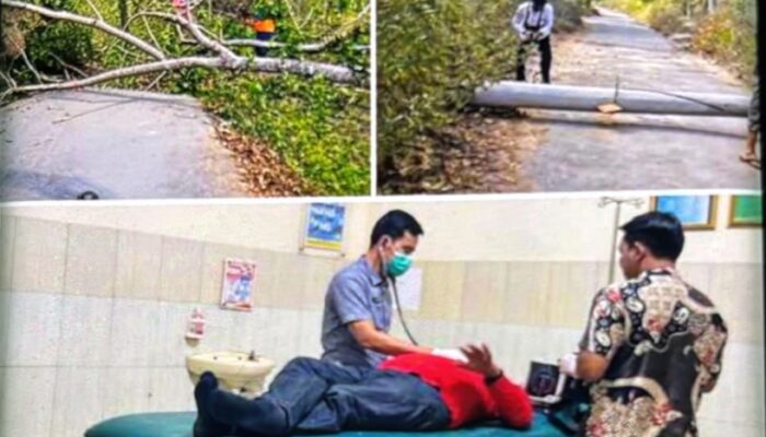 Nyaris Jadi Korban Pohon Tumbang, Camat Arjasa Tetap Prioritaskan Aduan Warga